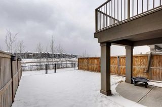 Photo 24: 123 Auburn Meadows Place SE in Calgary: Auburn Bay Semi Detached (Half Duplex) for sale : MLS®# A2106833