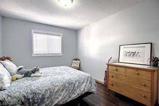 Photo 26: 120 Millview Square SW in Calgary: Millrise Detached for sale : MLS®# A2009676