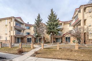 Photo 1: 201 1723 35 Street SE in Calgary: Albert Park/Radisson Heights Apartment for sale : MLS®# A1196322