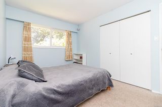 Photo 29: 908 Rankin Rd in Esquimalt: Es Kinsmen Park Single Family Residence for sale : MLS®# 955514