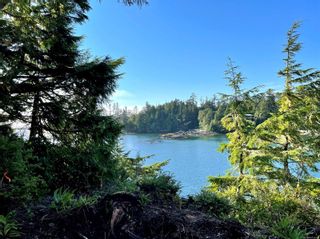 Photo 49: 1172 Coral Way in Ucluelet: PA Ucluelet Land for sale (Port Alberni)  : MLS®# 915673