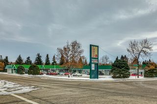 Photo 48: 12 Lake Huron Place SE in Calgary: Bonavista Downs Detached for sale : MLS®# A2013400