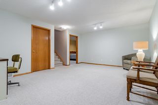 Photo 19: 56 Coventry Green NE in Calgary: Coventry Hills Detached for sale : MLS®# A1194042