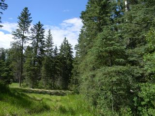 Photo 2: 140 Meadow Ponds Drive: Rural Clearwater County Land for sale : MLS®# A1021074