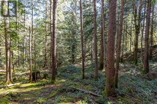 Photo 25: Lot 12 Mountain Rd in Duncan: Vacant Land for sale : MLS®# 959360