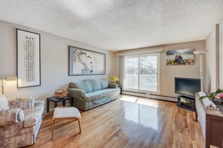 Photo 11: 15 210 25th Avenue SW in Calgary: Mission Apartment for sale : MLS®# A2033114