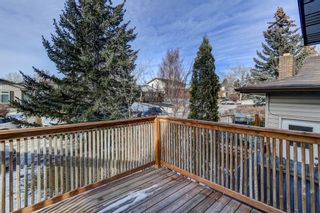 Photo 13: 102 Ranch Glen Drive NW in Calgary: Ranchlands Detached for sale : MLS®# A2018945
