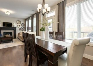 Photo 15: 222 Nolan Hill Boulevard NW in Calgary: Nolan Hill Detached for sale : MLS®# A2056784