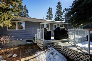 Photo 29: 660 Willow Brook Drive SE in Calgary: Willow Park Detached for sale : MLS®# A2119426