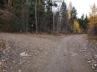 Photo 16: 4390 Ruth Road, in Kelowna: Vacant Land for sale : MLS®# 10255033