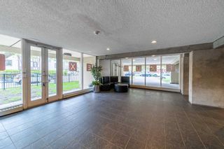 Photo 15: 304 1209 6 Street SW in Calgary: Beltline Apartment for sale : MLS®# A2132467