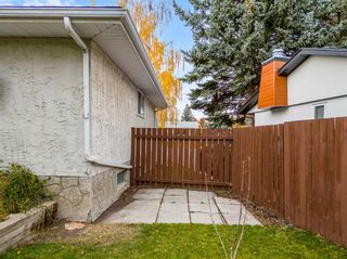 Photo 36: 316 Braniff Place SW in Calgary: Braeside Detached for sale : MLS®# A2087832