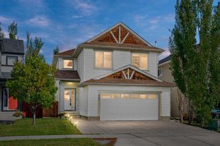Main Photo: 900 Copperfield Boulevard SE in Calgary: Copperfield Detached for sale : MLS®# A2079671