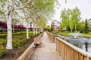 Photo 17: 330 5500 ANDREWS Road in Richmond: Steveston South Condo for sale in "SOUTHWATER" : MLS®# R2163811