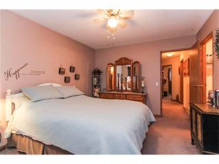 Photo 21: 118 MARTIN CROSSING Court NE in Calgary: Martindale House for sale : MLS®# C4050073
