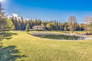 Photo 2: 32571 Rge Rd 52: Rural Mountain View County Detached for sale : MLS®# A1178795