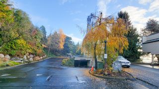 Photo 35: 21 2250 FOLKESTONE Way in West Vancouver: Panorama Village Condo for sale in "Panorama Gardens" : MLS®# R2854907