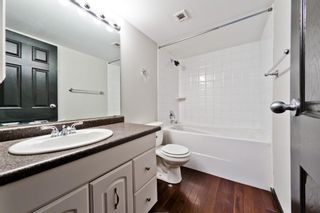 Photo 16: 204 929 18 Avenue SW in Calgary: Lower Mount Royal Apartment for sale : MLS®# A1231515