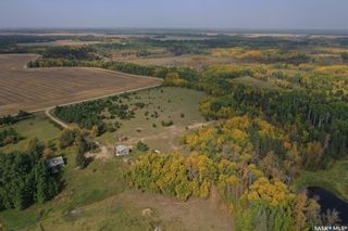 Photo 7: Torch River Land in Torch River: Farm for sale (Torch River Rm No. 488)  : MLS®# SK952249