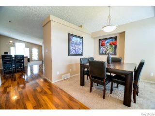 Photo 7: 53 Michaud Crescent in WINNIPEG: St Vital Residential for sale (South East Winnipeg)  : MLS®# 1519073
