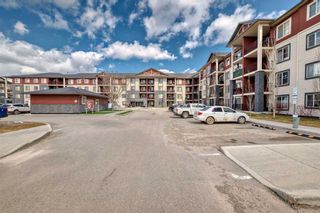 Photo 31: 1323 81 Legacy Boulevard SE in Calgary: Legacy Apartment for sale : MLS®# A2128699