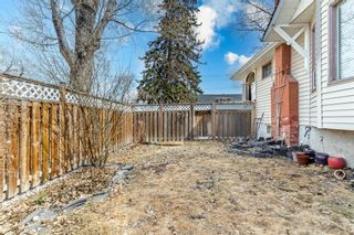 Photo 32: 419 2 Street NE in Calgary: Crescent Heights Detached for sale : MLS®# A2053900