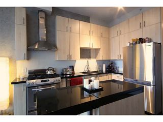 Photo 2: # 309 2635 PRINCE EDWARD ST in Vancouver: Mount Pleasant VE Condo for sale (Vancouver East)  : MLS®# V1044416