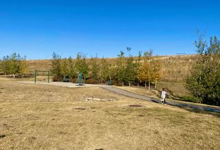 Photo 41: 215 Arbour Butte Road NW in Calgary: Arbour Lake Detached for sale : MLS®# A2007908