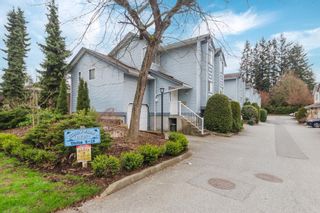 Photo 31: 15 19252 119 Avenue in Pitt Meadows: Central Meadows Townhouse for sale in "WILLOW PARK 3" : MLS®# R2867108
