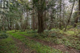 Photo 28: 0 East Rd in Denman Island: Vacant Land for sale : MLS®# 960211