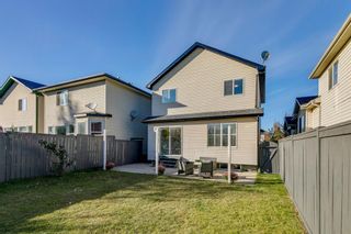 Photo 31: 11 Bridlewood Gardens SW in Calgary: Bridlewood Detached for sale : MLS®# A1149617