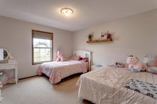 Photo 11: 9 Elgin Meadows Green SE in Calgary: McKenzie Towne Detached for sale : MLS®# A1110970