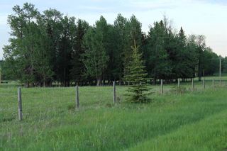 Photo 6: On Range Road 4.5: Rural Mountain View County Agriculture for sale : MLS®# A1192920