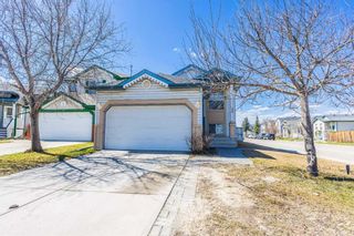 Main Photo: 33 Martin Crossing Green NE in Calgary: Martindale Detached for sale : MLS®# A2126308