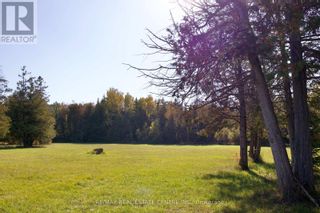 Photo 16: 641473 270 SDRD in Melancthon: Vacant Land for sale : MLS®# X7365500