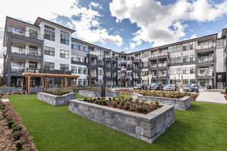 Photo 27: 311 2120 GLADWIN Road in Abbotsford: Central Abbotsford Condo for sale in "The Onyx at Mahogany" : MLS®# R2878408