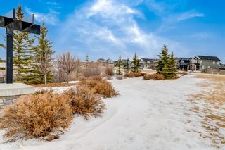 Photo 37: 77 Evanston Way NW in Calgary: Evanston Detached for sale : MLS®# A1171349