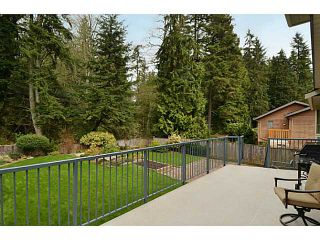Photo 19: 3338 TENNYSON Crescent in North Vancouver: Lynn Valley House for sale : MLS®# V1114852