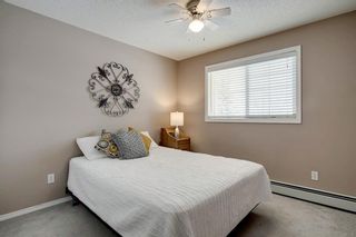 Photo 16: 2124 10 Prestwick Bay SE in Calgary: McKenzie Towne Apartment for sale : MLS®# A1185222