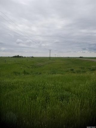 Photo 15: Penzance Acreage in Penzance: Residential for sale : MLS®# SK907318
