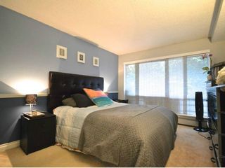 Photo 8: # 105 2277 MCGILL ST in Vancouver: Hastings Condo for sale (Vancouver East)  : MLS®# V1054708