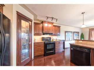 Photo 5: 100 SPRINGMERE Grove: Chestermere House for sale : MLS®# C4085468