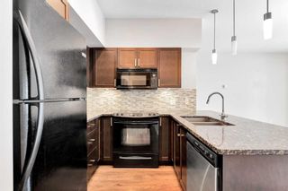 Photo 5: 421 4303 1 Street NE in Calgary: Highland Park Apartment for sale : MLS®# A2120018
