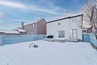 Photo 15: 7848 Martha’s Haven Park in Calgary: Martindale Detached for sale : MLS®# A2107008