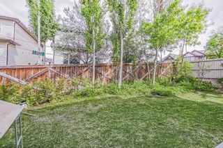 Photo 25: 159 PANAMOUNT View NW in Calgary: Panorama Hills Detached for sale : MLS®# A2054642