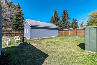 Photo 23: 8628 46 Avenue NW in Calgary: Bowness Detached for sale : MLS®# A2047718
