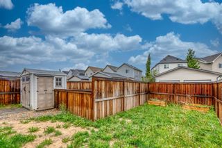 Photo 29: 20 Copperpond Heights SE in Calgary: Copperfield Detached for sale : MLS®# A2128576