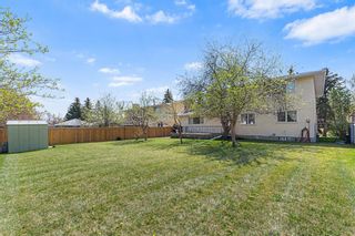 Photo 45: 5032 Dalhart Road NW in Calgary: Dalhousie Detached for sale : MLS®# A2049162