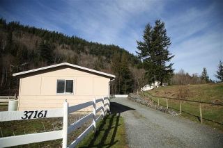 Photo 19: 37161 GLEN-NEISH Road in Abbotsford: Sumas Mountain House for sale : MLS®# R2335660