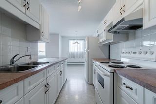 Photo 24: 427 165 Manora Place NE in Calgary: Marlborough Park Apartment for sale : MLS®# A1196284